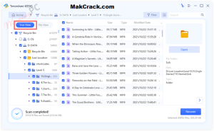 Tenorshare 4DDiG 9.1.1.2 Crack + License Key {Win/Mac} 2022