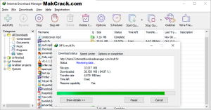 IDM Crack 6.41 Build 2 Key + Torrent (Patch) Free Download